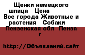 Щенки немецкого шпица › Цена ­ 20 000 - Все города Животные и растения » Собаки   . Пензенская обл.,Пенза г.